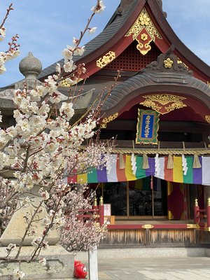 ⛩️ 이와즈 텐만구(岩津天満宮) 이미지 2